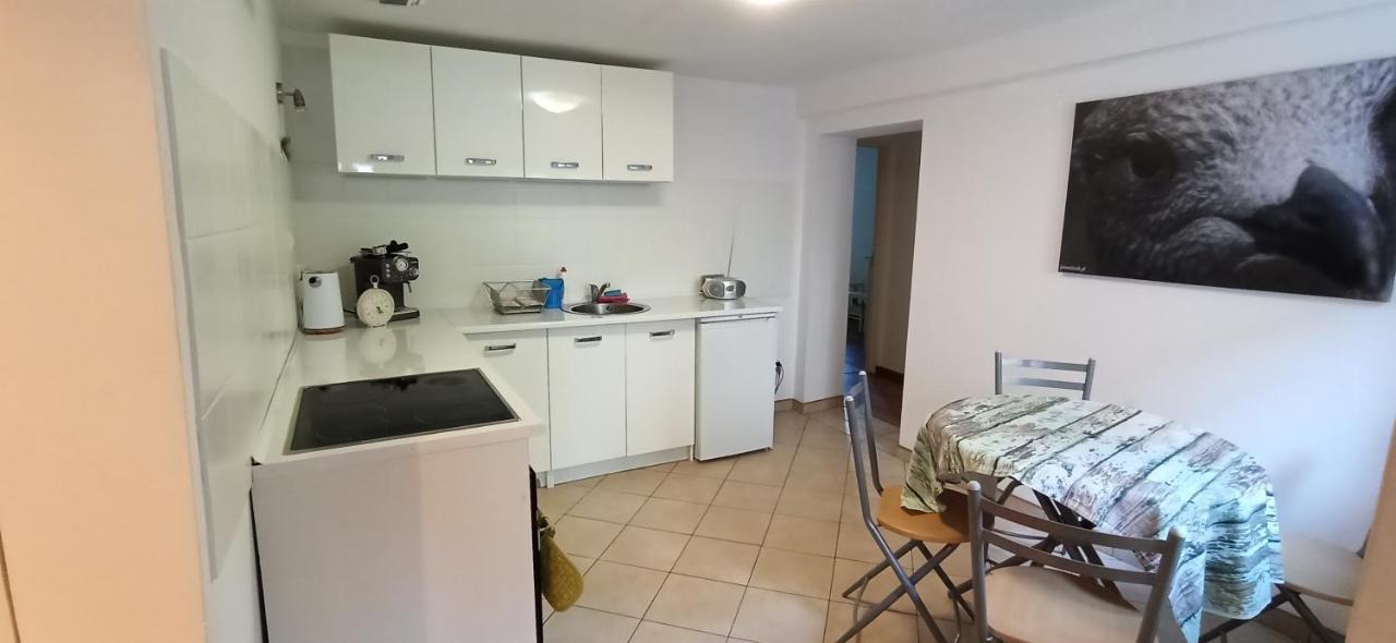 Apartament U Sikorek Jelenia Góra Buitenkant foto